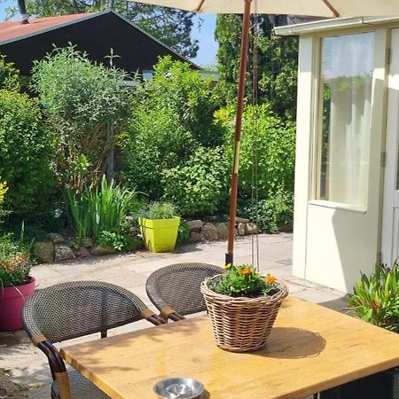 Zonnig Zuid Villa Dirkshorn Exterior foto