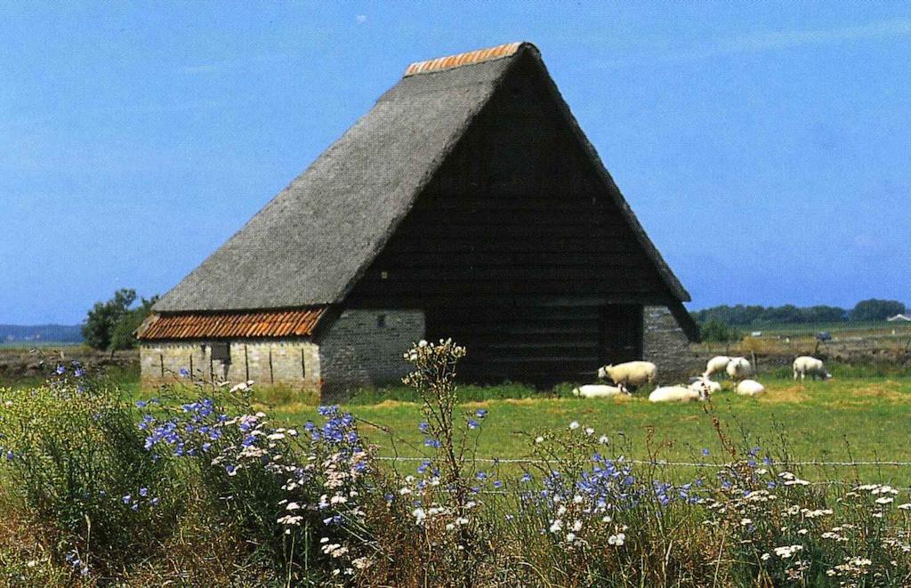 Zonnig Zuid Villa Dirkshorn Cameră foto